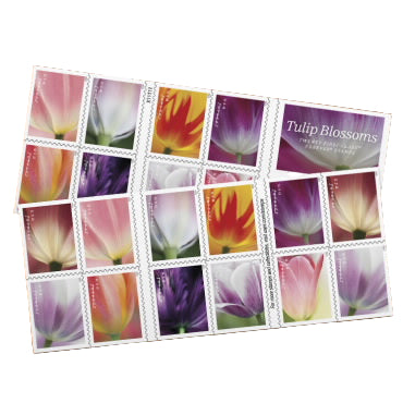 Tulip Blossoms 2023 5 sheets of 20 (100 total) USPS Forever Postage Stamps