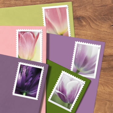 Tulip Blossoms 2023 5 sheets of 20 (100 total) USPS Forever Postage Stamps